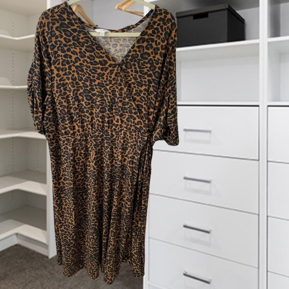 Terra & Sky Leopard Tie Front Dress